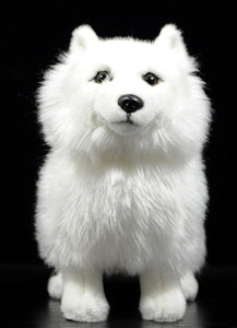 Front image of an adorable American Eskimo Dog stuffed animal plush toy in the color white