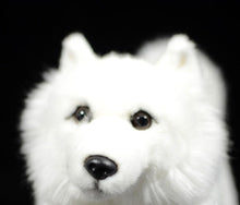 Load image into Gallery viewer, Front face image of an adorable American Eskimo Dog stuffed animal plush toy in the color white