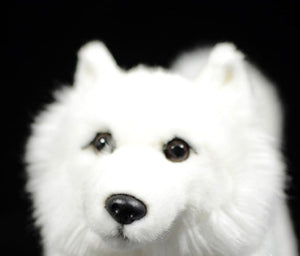 Front face image of an adorable American Eskimo Dog stuffed animal plush toy in the color white