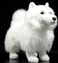 Load image into Gallery viewer, Image of an adorable American Eskimo Dog stuffed animal plush toy in the color white