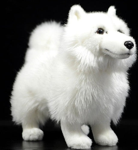 Image of an adorable American Eskimo Dog stuffed animal plush toy in the color white