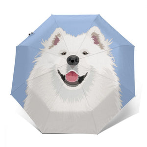 Image of a cutest Samoyed umbrella in a smiling American Eskimo Dog design