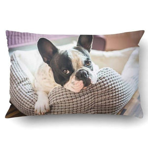 Artistic French Bulldogs Queen Size Rectangular Large Cushion Cover - Series 1Cushion CoverFrench Bulldog - Pied Black and WhiteOne Size