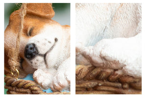 Close image of a super cute sleeping and hanging Beagle garden statue