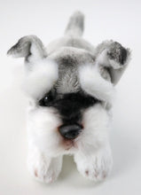Load image into Gallery viewer, This image shows the face of a cute sitting Belly Flop Schnauzer Stuffed Animal Plush Toy.