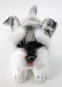 This image shows the face of a cute sitting Belly Flop Schnauzer Stuffed Animal Plush Toy.