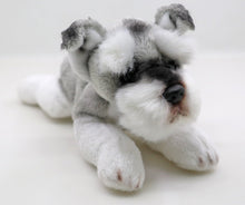 Load image into Gallery viewer, This image shows a cute sitting Belly Flop Schnauzer Stuffed Animal Plush Toy.