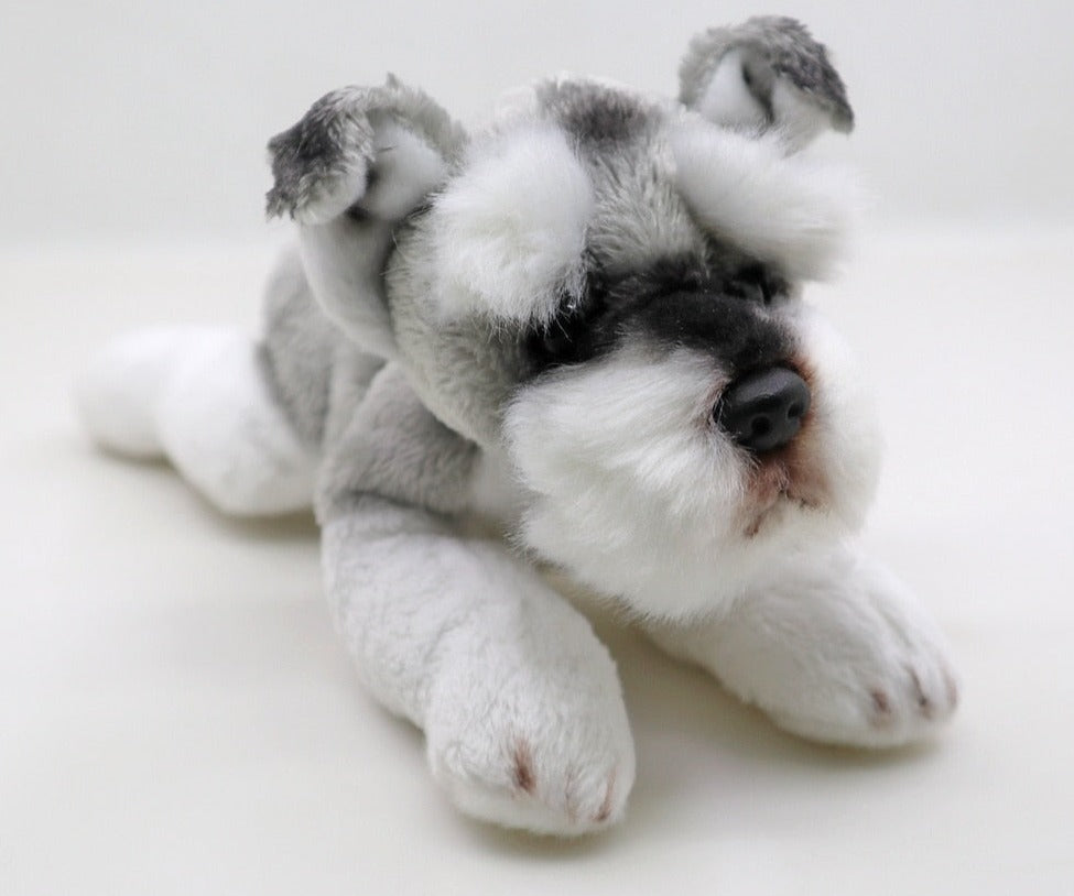 This image shows a cute sitting Belly Flop Schnauzer Stuffed Animal Plush Toy.