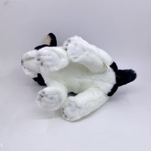 Load image into Gallery viewer, This image shows a lying blue pied French Bulldog Stuffed Animal plush toy on the floor.