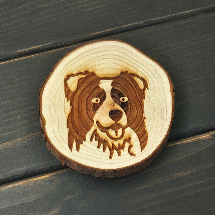 Image of an engraved Border Collie coaster made of wood