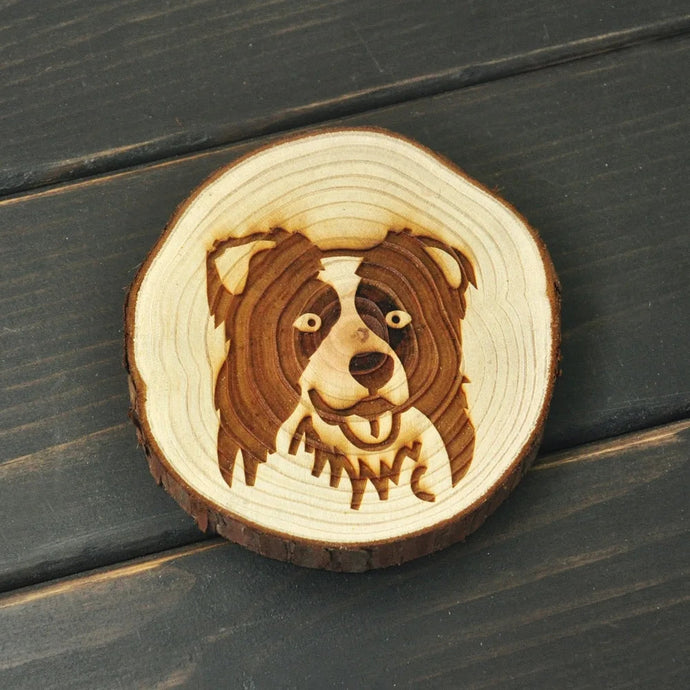 Image of a wood-engraved Border Collie coaster