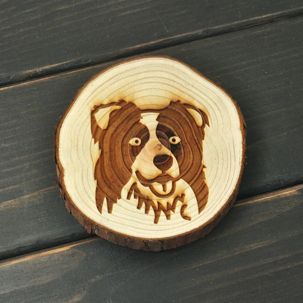 Image of a wood-engraved Border Collie coaster