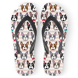 Image of boston terrier slippers in pastel design