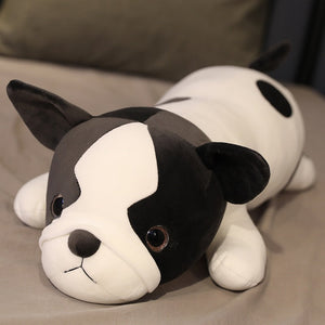 image of a boston terrier stuffed cushion