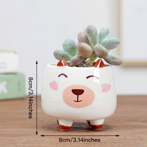Image of a cutest succulent plant bull terrier flower pot in bull terrier closed eyes design