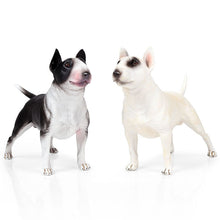Load image into Gallery viewer, Bull Terrier Love Lifelike Statue Figurines-Home Decor-Bull Terrier, Dogs, Figurines, Home Decor, Statue-Both-10