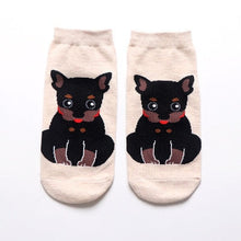 Load image into Gallery viewer, Bull Terrier Love Womens Ankle Length Socks-Apparel-Accessories, Bull Terrier, Dogs, Socks-Miniature Pinscher-9