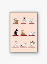 Load image into Gallery viewer, Image of a Bull Terrier poster in the cutest Bull Terriers doing Yoga design.