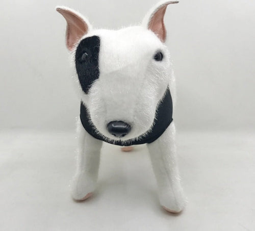 Toy english bull outlet terrier