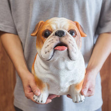 Load image into Gallery viewer, Image of a bulldog piggy bank in the most adorable Bulldog design