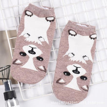 Load image into Gallery viewer, Chihuahua Love Womens Cotton Socks-Apparel-Accessories, Chihuahua, Dogs, Socks-Chihuahua-Ankle Length-3