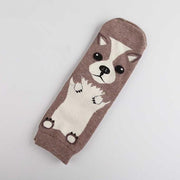 Chihuahua Love Womens Cotton SocksSocksChihuahua