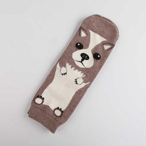 Image of a super-cute Chihuahua socks made of cotton, polyester and spandex