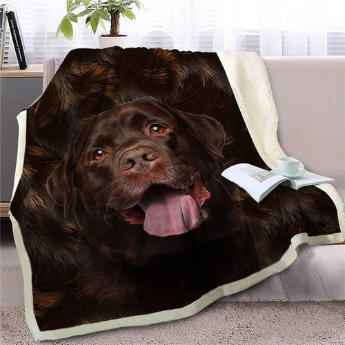 Image of a cutest and smiling Chocolate Labrador blanket