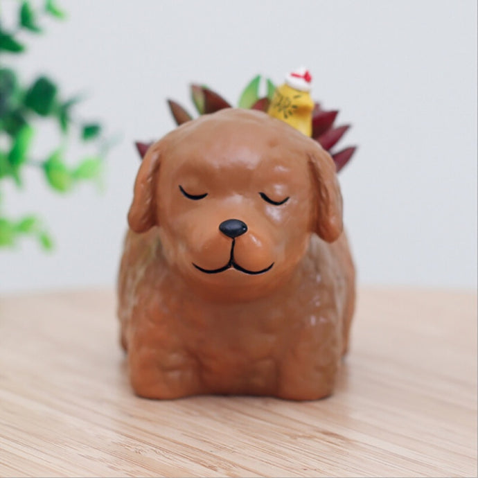 Image of a super cute Chocolate Labrador flower pot