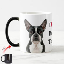 Load image into Gallery viewer, Color Changing Boston Terrier Love Coffee MugMugDefault Title
