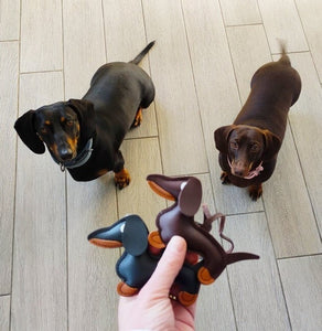 Image of two dachshunds accessories in the color black and brown