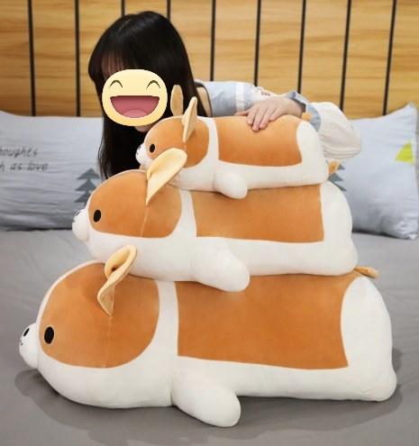 Image of a girl on the bed next to three Corgi stuffed animals soft plush toys in different sizes