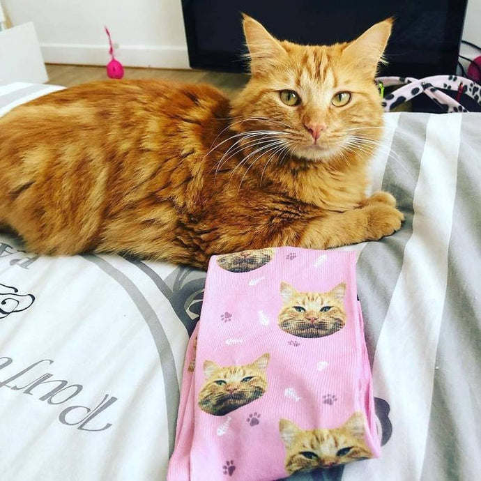Custom Cat Socks - Personalized Cat Gifts for Cat Lovers-Accessories, Cats, Personalized Dog Gifts, Socks-1