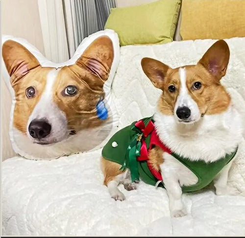 Pillows with pictures of your pet hot sale