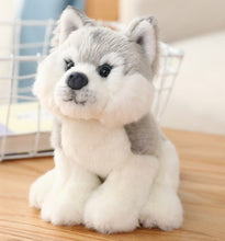 Load image into Gallery viewer, Cute and Cuddly Dog Stuffed Animal Plush Toys-Soft Toy-Dogs, Stuffed Animal-Husky-4