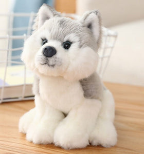 Cute and Cuddly Dog Stuffed Animal Plush Toys-Soft Toy-Dogs, Stuffed Animal-Husky-4