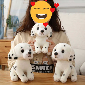 Cute and Cuddly Dog Stuffed Animal Plush Toys-Soft Toy-Dogs, Soft Toy, Stuffed Animal-9