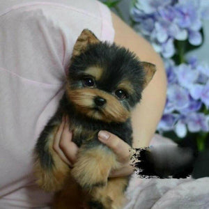 Cute and Lifelike Yorkshire Terrier Stuffed Animal Plush Toy-Soft Toy-Dogs, Home Decor, Stuffed Animal, Yorkshire Terrier-3