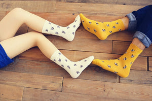 Image of two boston terrier socks women in the color orange and white