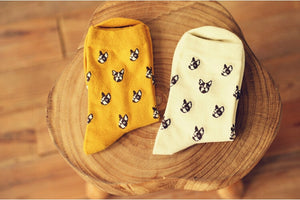 Image of boston terrier socks for women