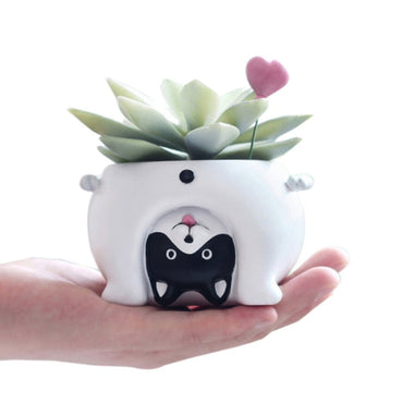 boston terrier succulent planter Boston Terrier Planter
