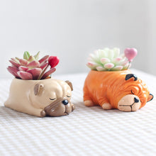 Load image into Gallery viewer, Cutest Dachshund Love Succulent Plants Flower Pot-Home Decor-Dachshund, Dogs, Flower Pot, Home Decor-6
