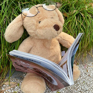 this image shows the cutest plush golden retriever soft toy with an adorable spectacles on it's head while holding a book .