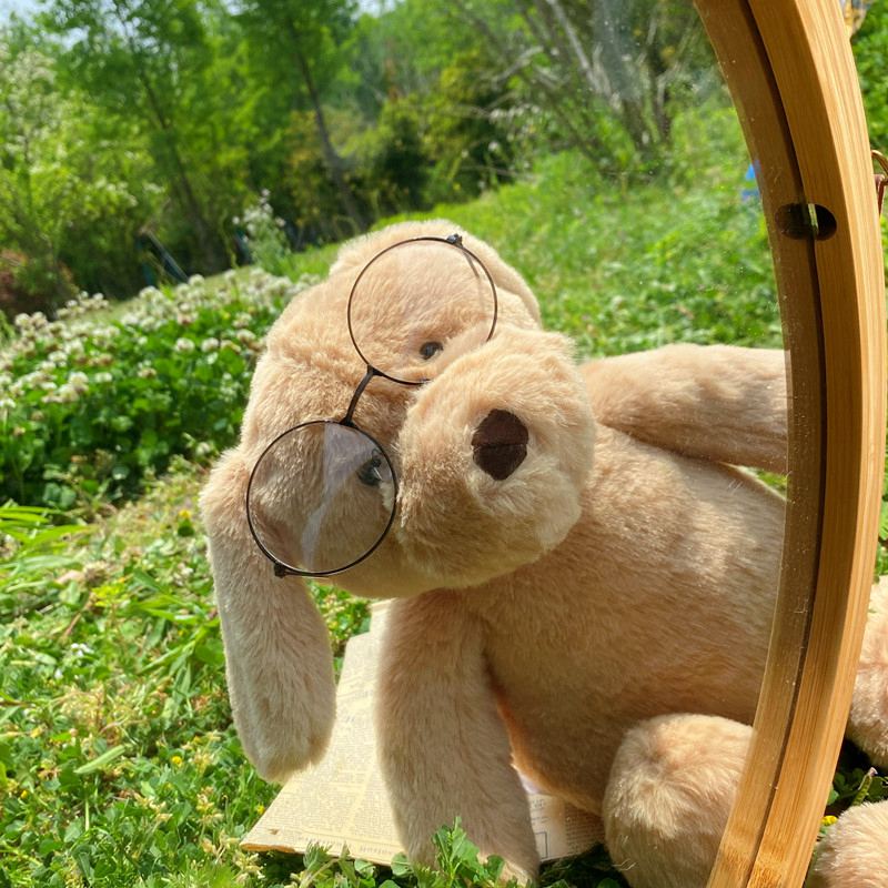this image shows the cutest plush golden retriever soft toy with an adorable spectacles on it's face peeping through a wooden hollow board.