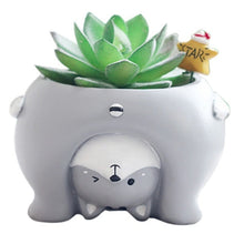 Load image into Gallery viewer, Cutest Pug Love Succulent Plants Flower Pot-Home Decor-Dogs, Flower Pot, Home Decor, Pug-19