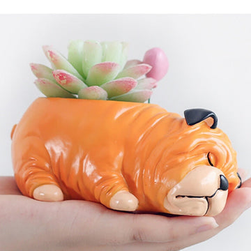 Cutest Schnauzer Love Succulent Plants Flower Pot-Home Decor-Dogs, Flower Pot, Home Decor, Schnauzer-English Bulldog-15