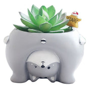 Cutest Schnauzer Love Succulent Plants Flower Pot-Home Decor-Dogs, Flower Pot, Home Decor, Schnauzer-20
