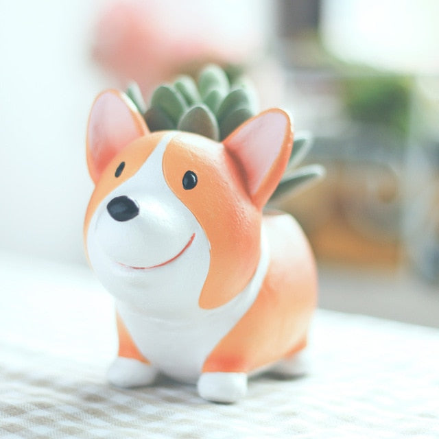 Cutest Sitting Corgi Love Succulent Plants Flower Pots 720x