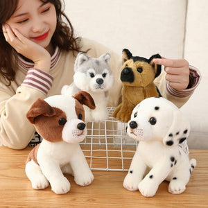 image of a woman playing with a dalmatian, german shepherd, husky and jack russell terrier stuffed animal plush toys