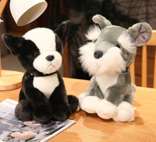 Load image into Gallery viewer, image of a schnauzer  stuffed animal plush toy and boston terrier stuffed animal plush toy
